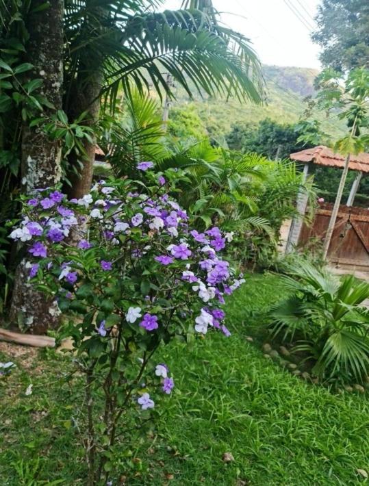 Sitio Borges Villa Petropolis  Ngoại thất bức ảnh
